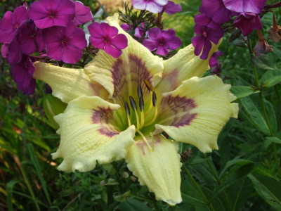 2020_0516AugustHitze0018.JPG