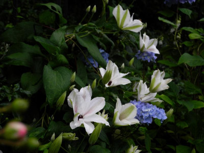 2020-07-01 Mikla.JPG