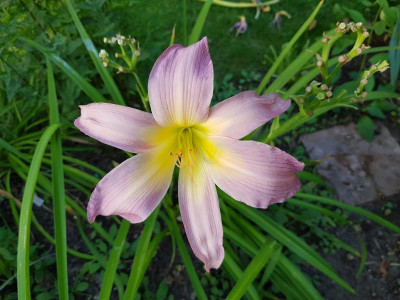 20200815_175058.jpg