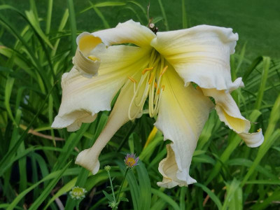 20200815_174937.jpg
