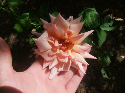 DSCF5734.JPG