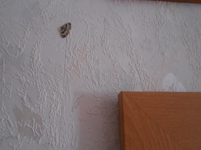 DSCN0300.JPG