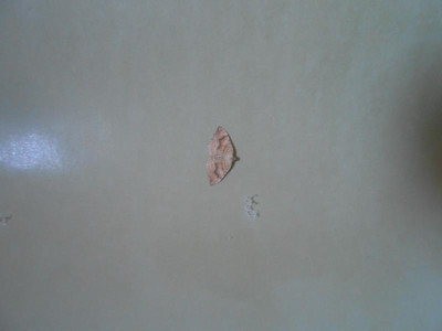 DSCN0305.JPG