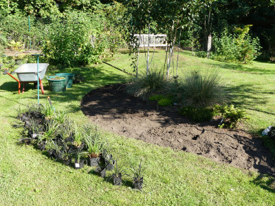 2020-08-16 Birkenhain 3.jpg