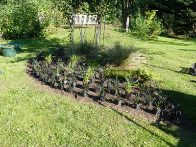 2020-08-16 Birkenhain 4.jpg
