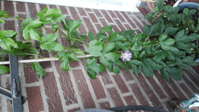 20200814_161646.jpg