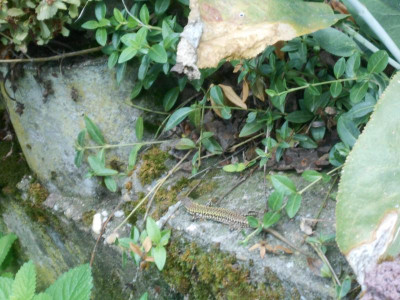 DSCN0315.JPG