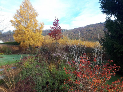 20181106_103412.jpg