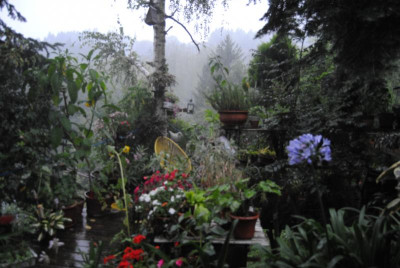 DSC_0823.JPG