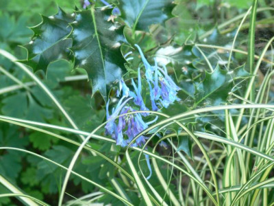 K640_P1040963_008.JPG