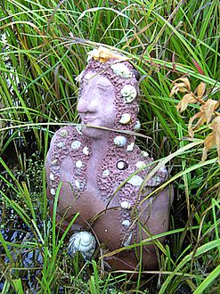 Nixe_fars_2007.jpg