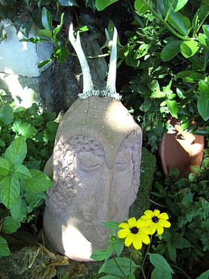 Faun_fars_2007.jpg