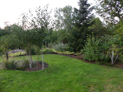 2020-08-19 Birkenhain 2.jpg
