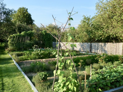tg_200819_2.jpg