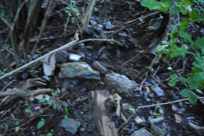 DSC_1030.JPG