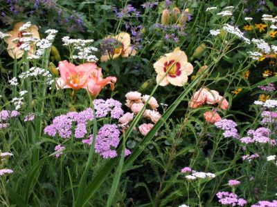 Verhaert_Garten_1002.jpg