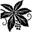 avatar_1107.jpg