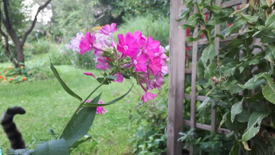 20200820_075015.jpg