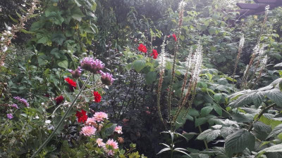 20200820_074507.jpg