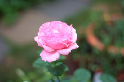 IMG_0060.jpg