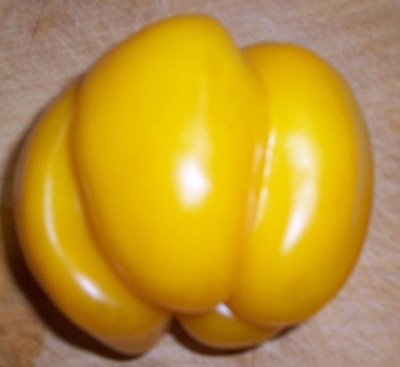 000_2256_gelbe_Paprikatomate.jpg