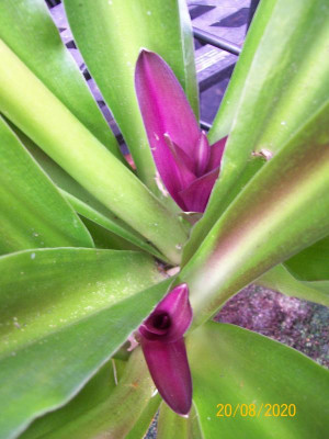 100_7684.JPG
