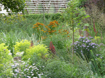 2020-08-21 Gartenimpressionen 2.jpg