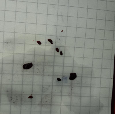 20200822_174107.jpg