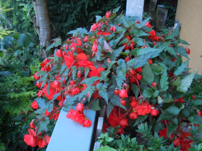 DSCN0019.JPG