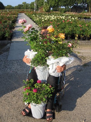 Netti_im_Rolli.JPG