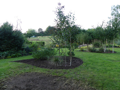2020-08-22 Birkenhain 3.jpg
