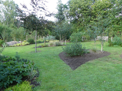 2020-08-22 Birkenhain 6.jpg
