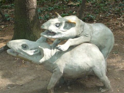 29.08.2007.6.JPG