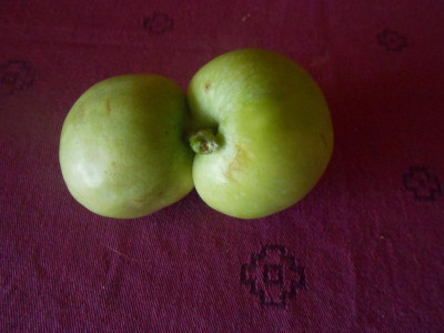 DSCN0138.JPG