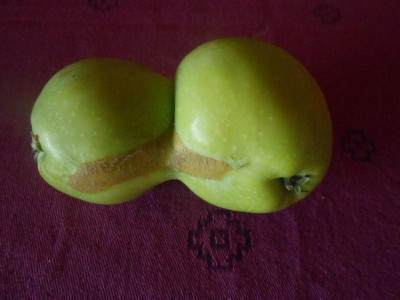 DSCN0139.JPG