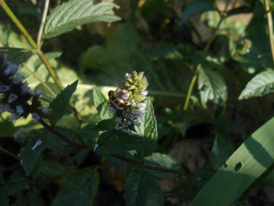 DSCN0185.JPG