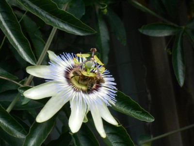DSCN0409.JPG