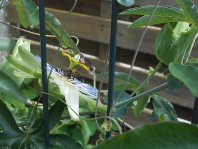 DSCN0412.JPG