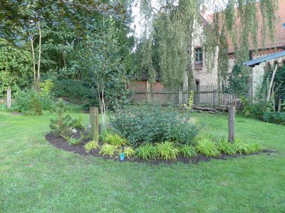 2020-08-23 Birkenhain 7.jpg