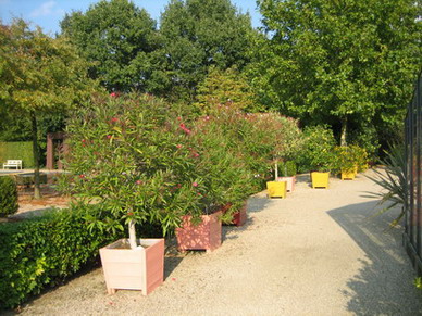 Rhulenhof_Mittelmeerflair.jpg
