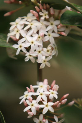 IMG_7635.JPG
