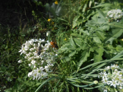 DSCN0552.JPG