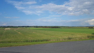 20200828_171841.jpg