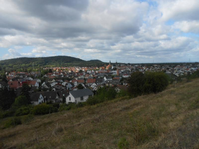 DSCN0526.JPG