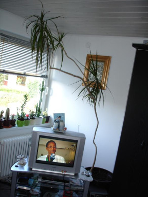 foto1.jpg