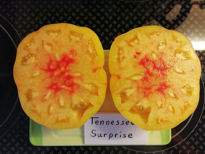 200829_Tennessee Surprise.jpg