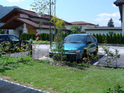 Gartenbeginn.jpg