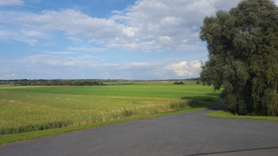20200828_171845.jpg