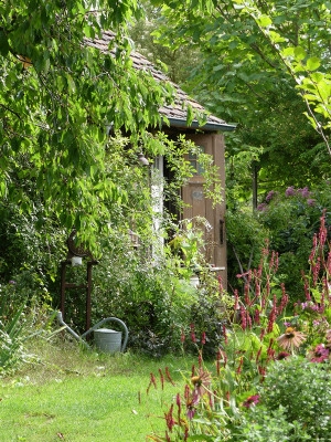 2020-08-29 Gartenimpressionen 1.jpg