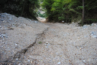 DSC_1335.JPG